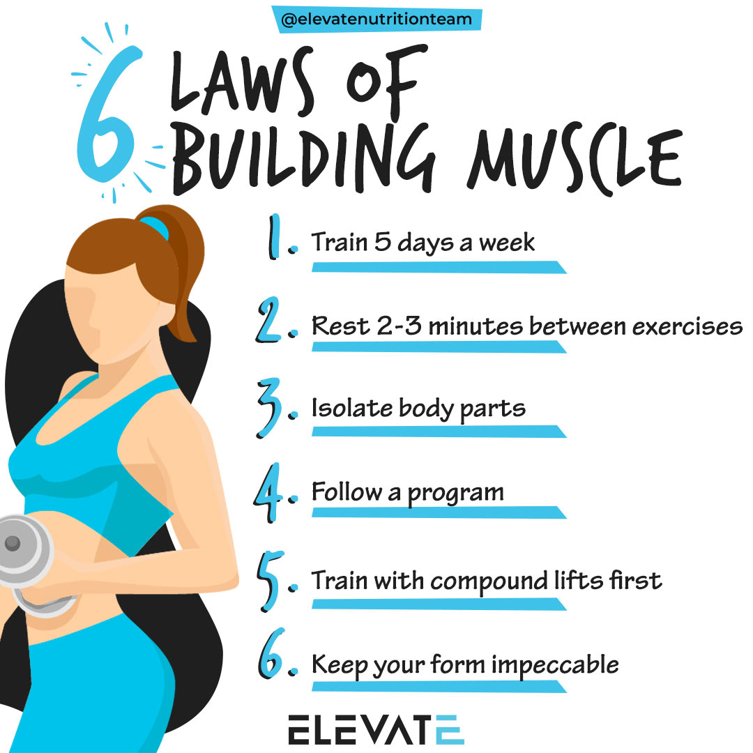 Muscle development exercises