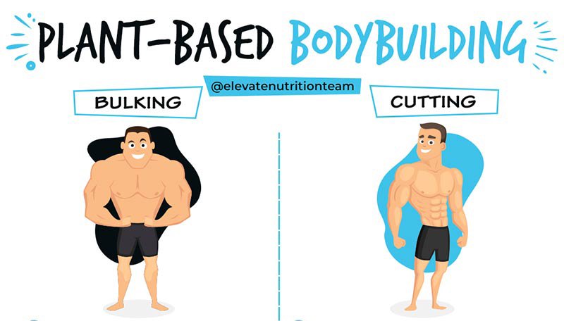 best supplements for bulking and cutting